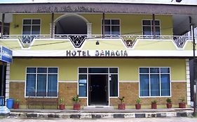 Hotel Bahagia Pangkalan Bun